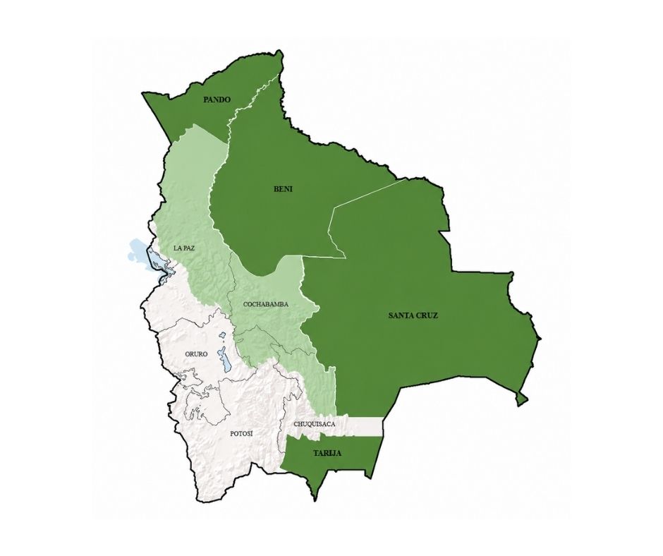 Alianzas globales para el  desarrollo forestal sostenible