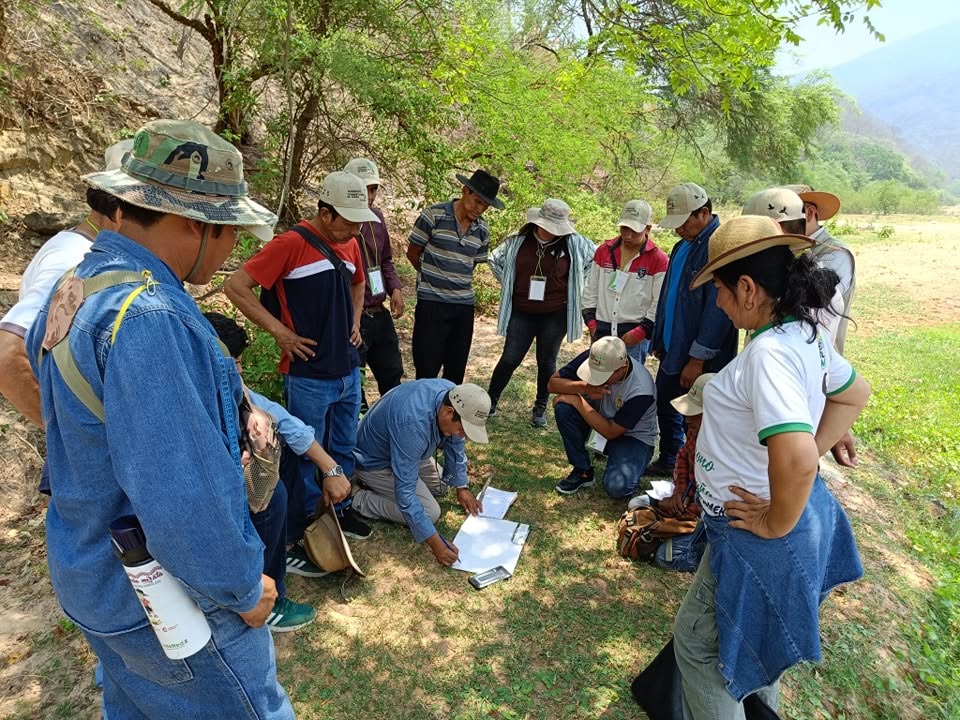 Evaluación de la efectividad de manejo